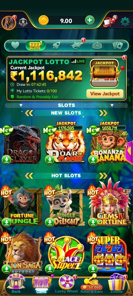 Rummy ludo